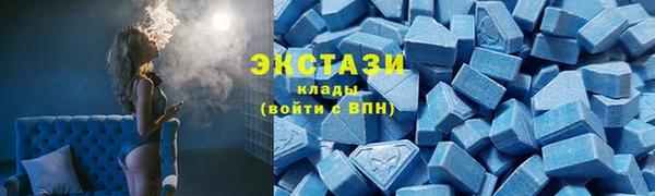 дурь Краснослободск