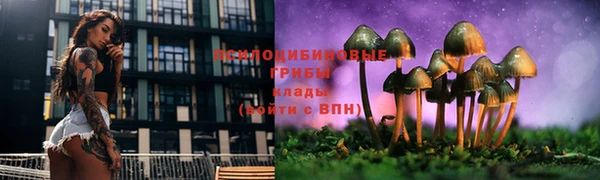 эйфоретик Корсаков