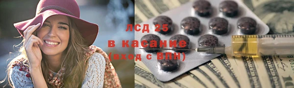 дурь Краснослободск