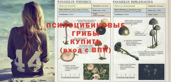 амф Семилуки